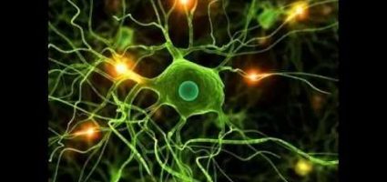 Nhạc NLP (coach Vas) chọn lọc – Bí quyết Tĩnh Tâm- Nhớ nhanh SJKpT-WW7PY.jpg