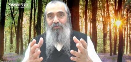 איך למגנט אהבה,זוגיות או שפע? NLP ugqq8fEoSoA.jpg