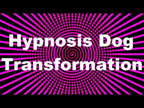 Hypnosis Dog Transformation