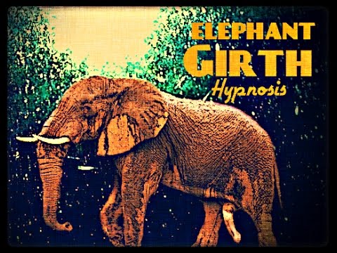 Elephant Trunk Girth Hypnosis Biokinesis Alpha Male Transformation Binaural Isochronic ASMR