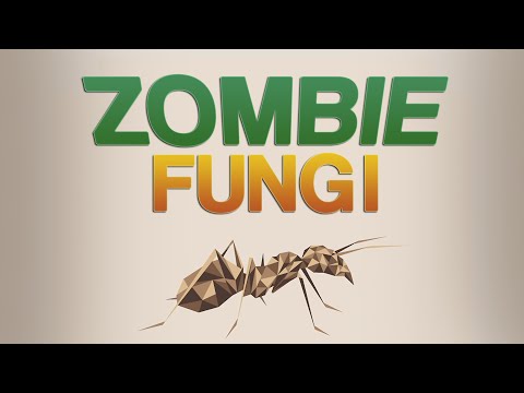 Cordyceps – Mind Controlling Zombie Fungus